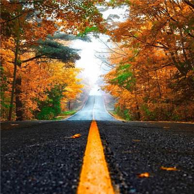 云开平台APP官方全站APP入口